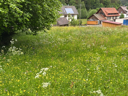 22-05-29 11-09-34 0946